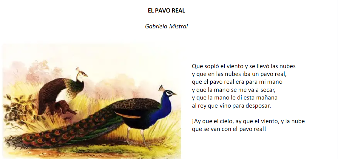 Cuál es el significado espiritual de las plumas de pavo real